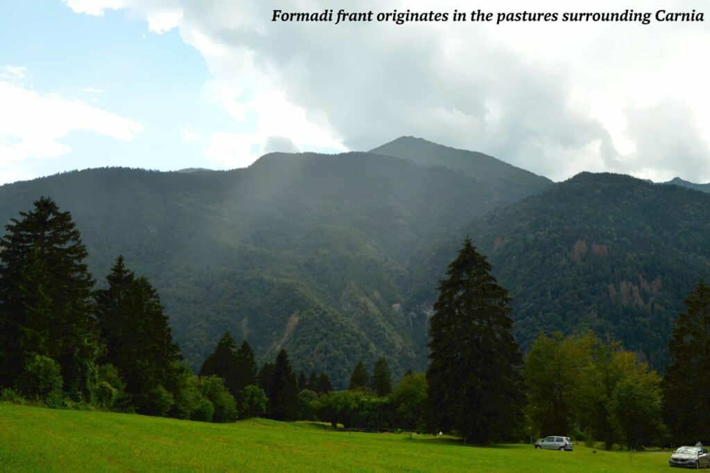 Green pastures in Carnia, Italy 