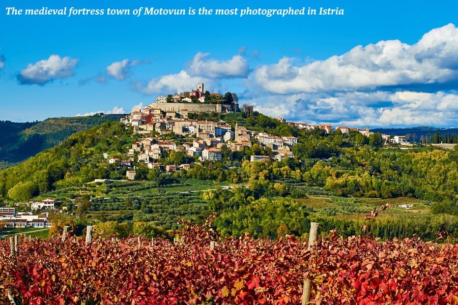 Fields just outside of Motovun in Croatia - Istria's hilltop towns