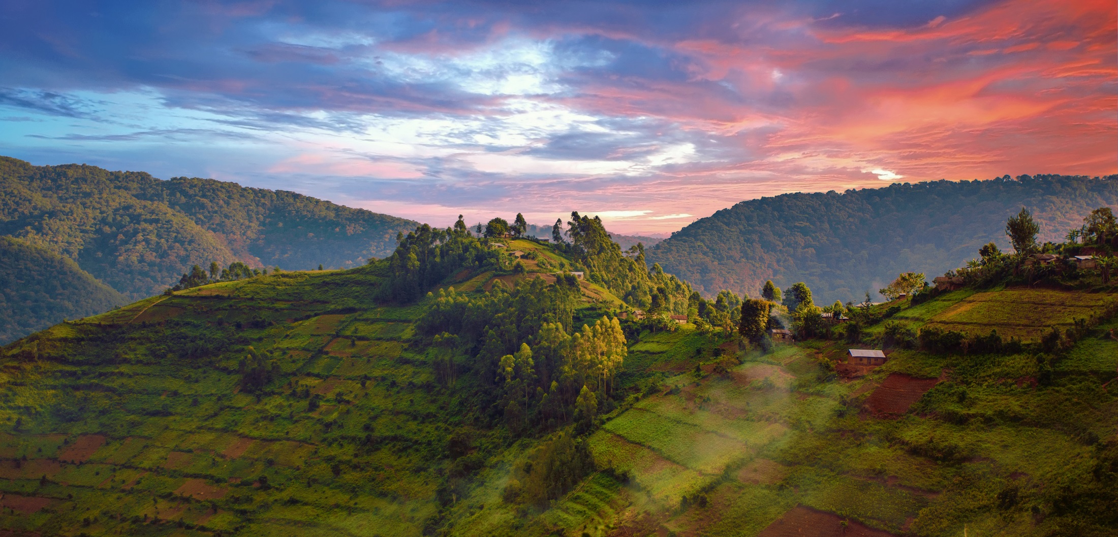 Celebrating Uganda's unbeatable natural splendour