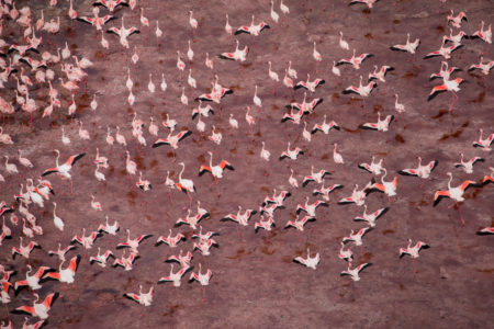 bright red lake natron