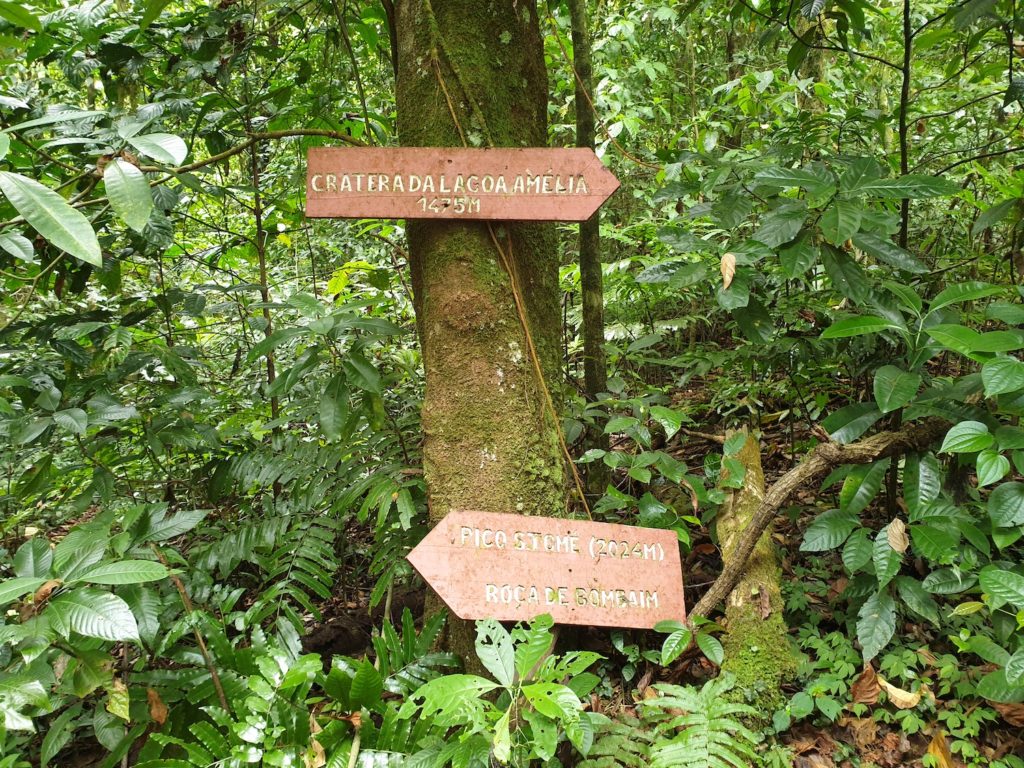 Jungle on the way to Lagoa Amalia Sao Tome Principe by Tilman Schimmel