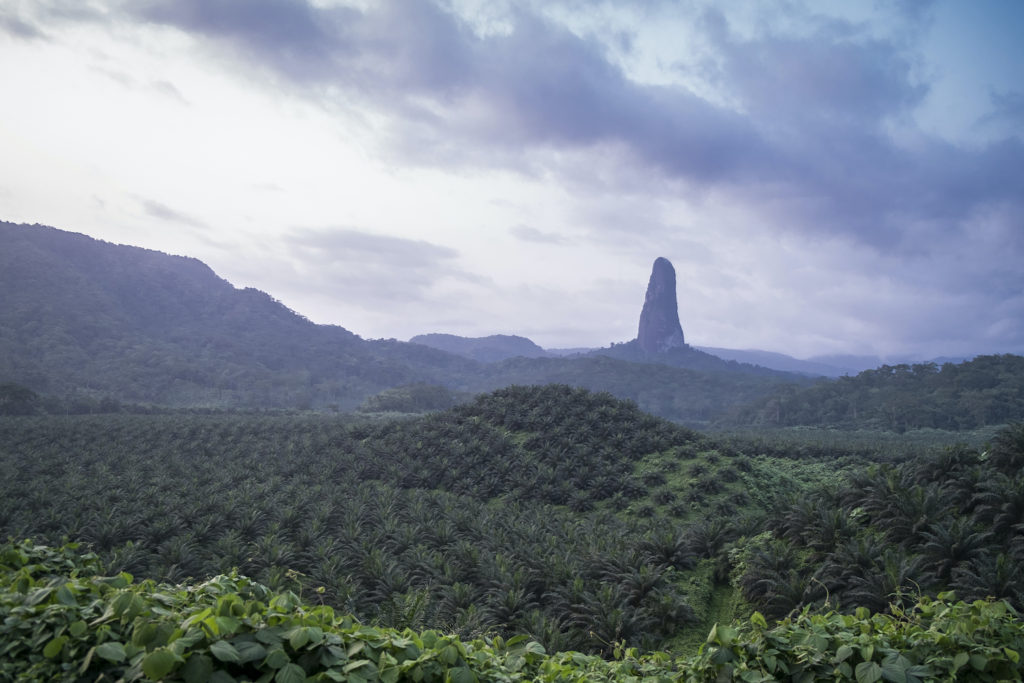 Pico Cao Grande in rainforest Sao Tome Principe by Andre Silva Pinto Shutterstock