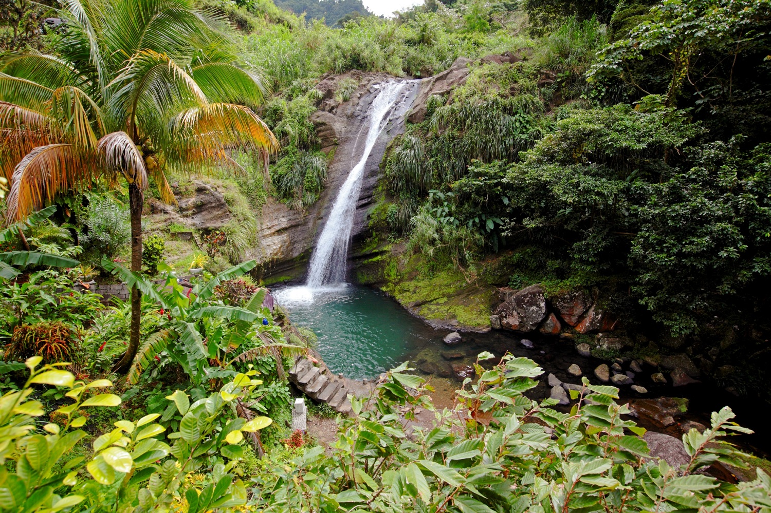 The spice of life: why you should consider a holiday in Grenada