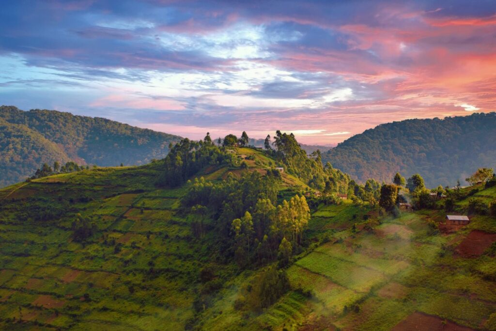 A landscape of the Bwindi impenetrable Forest National Park in Uganda - gorilla tracking in uganda