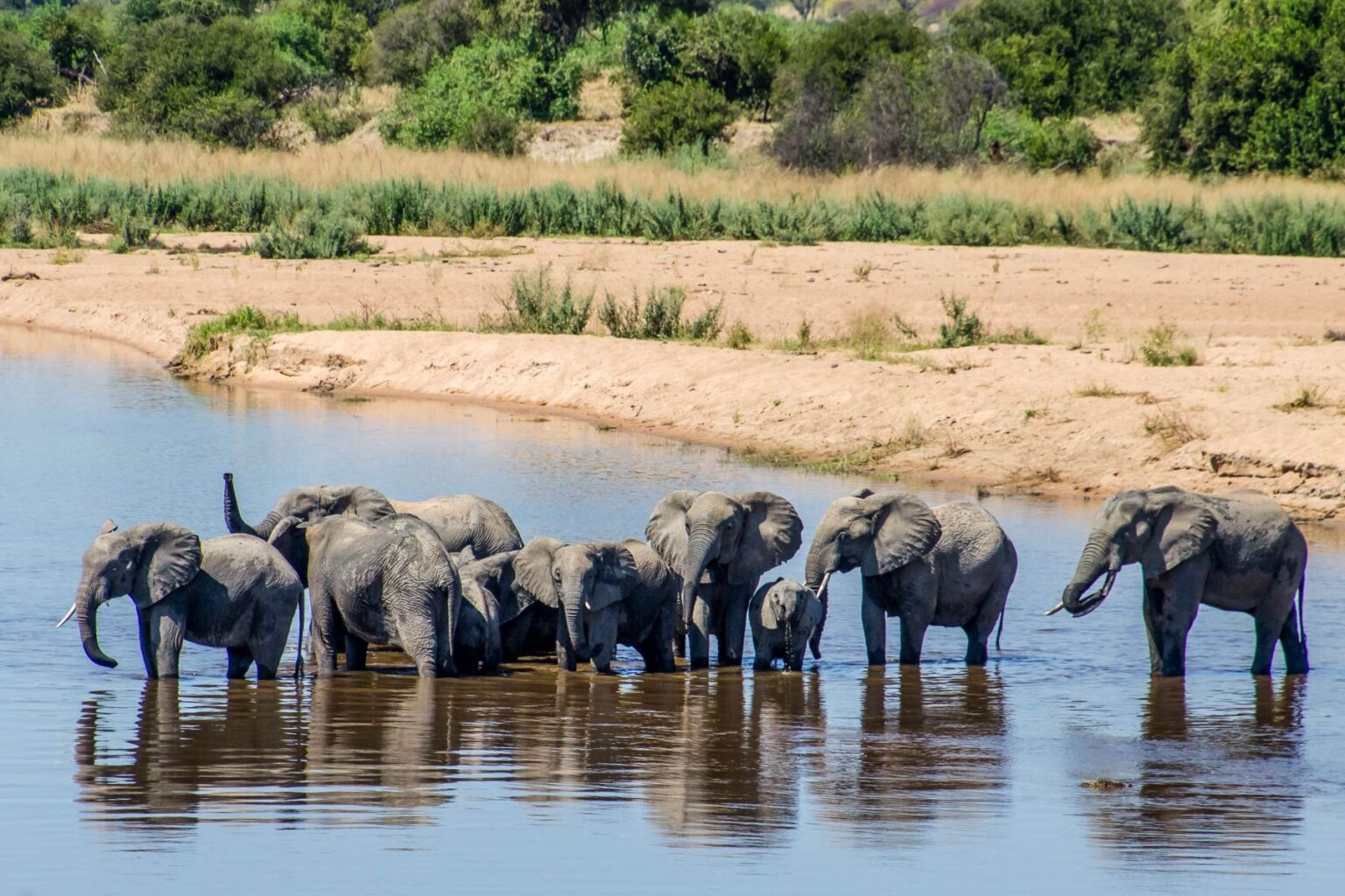 best safaris in africa reddit