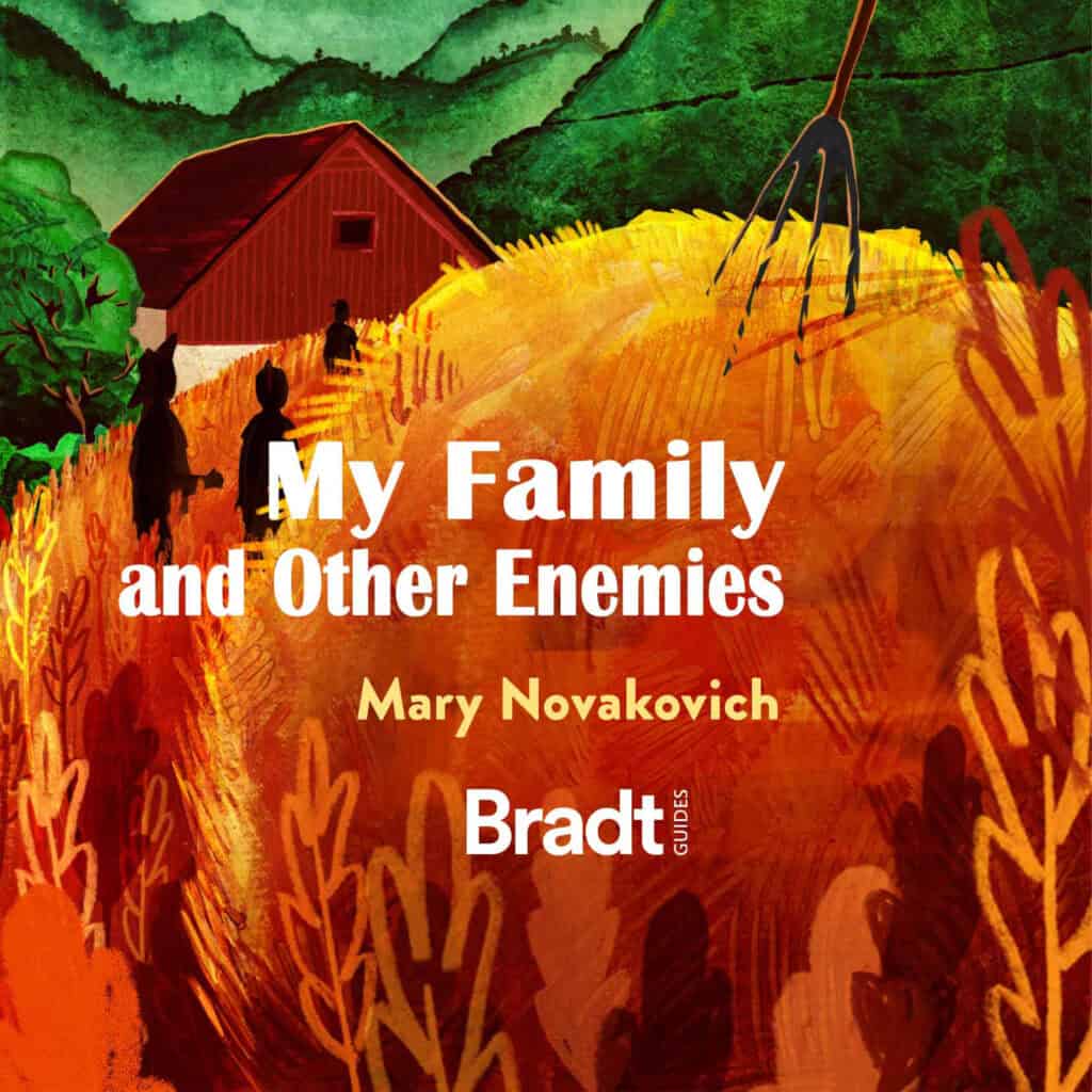 My Family and Other Enemies (audiobook)