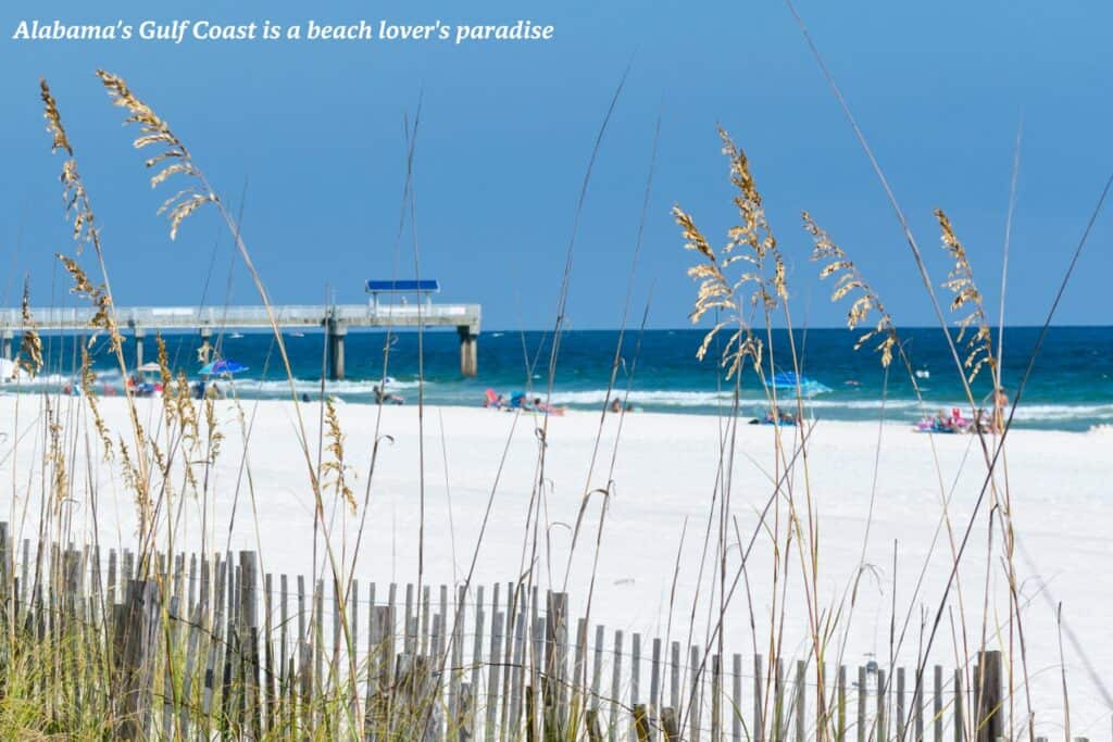 Reeds blowing in the wind on a beach on Alabama Gulf Coast - natural wonders in Alabama 