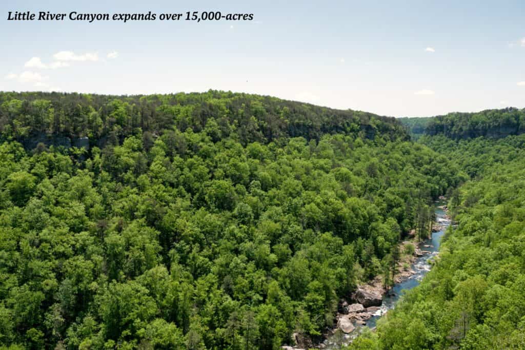 Little River Canyon - natural wonders in Alabama 