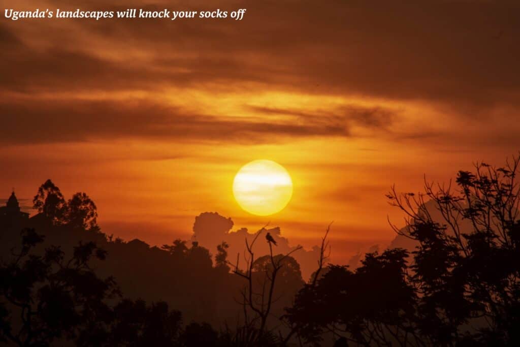 Dramatic sunset over the trees in Uganda - best places to travel in 2025