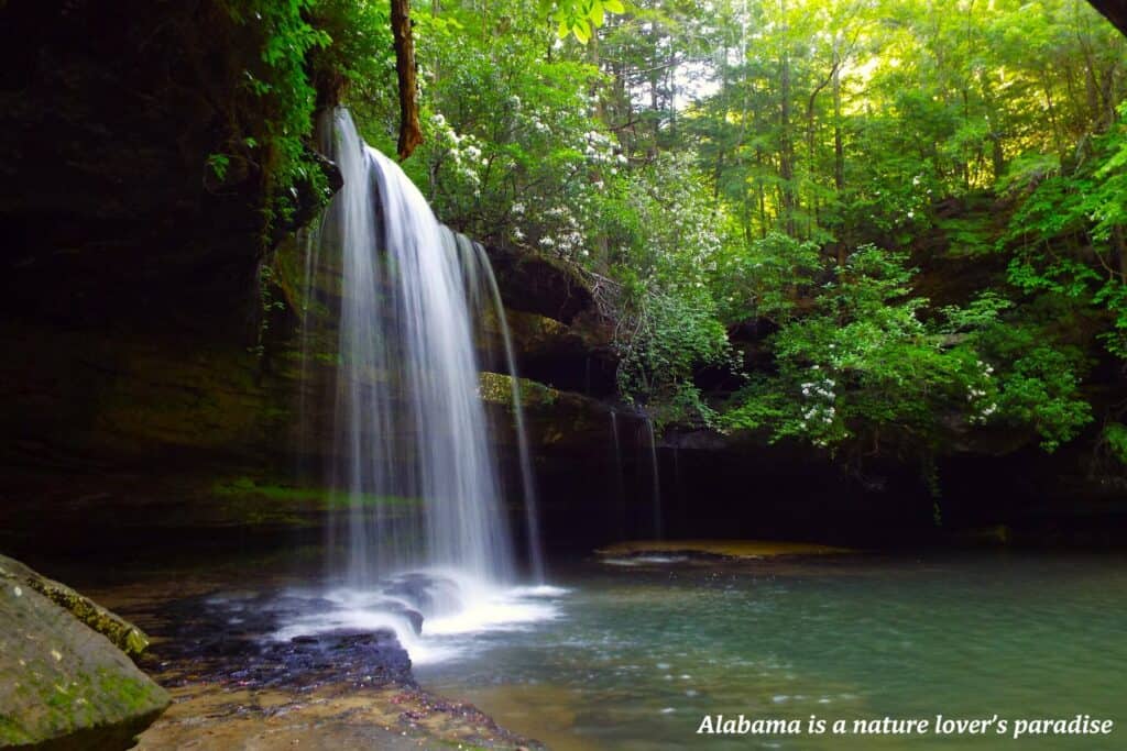 Waterfall in Bankhead National Forest, Alabama - best places to travel in 2025