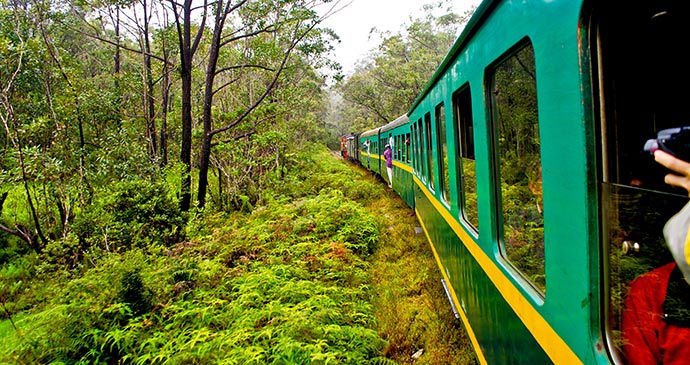 Train Madagascar Africa by Office Tourism National de Madagascar